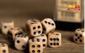 Xóc Đĩa Livestream Xo88 - Kinh Nghiệm Chơi Cá Cược Casino